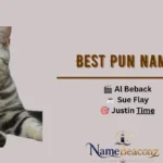 Best Pun Names