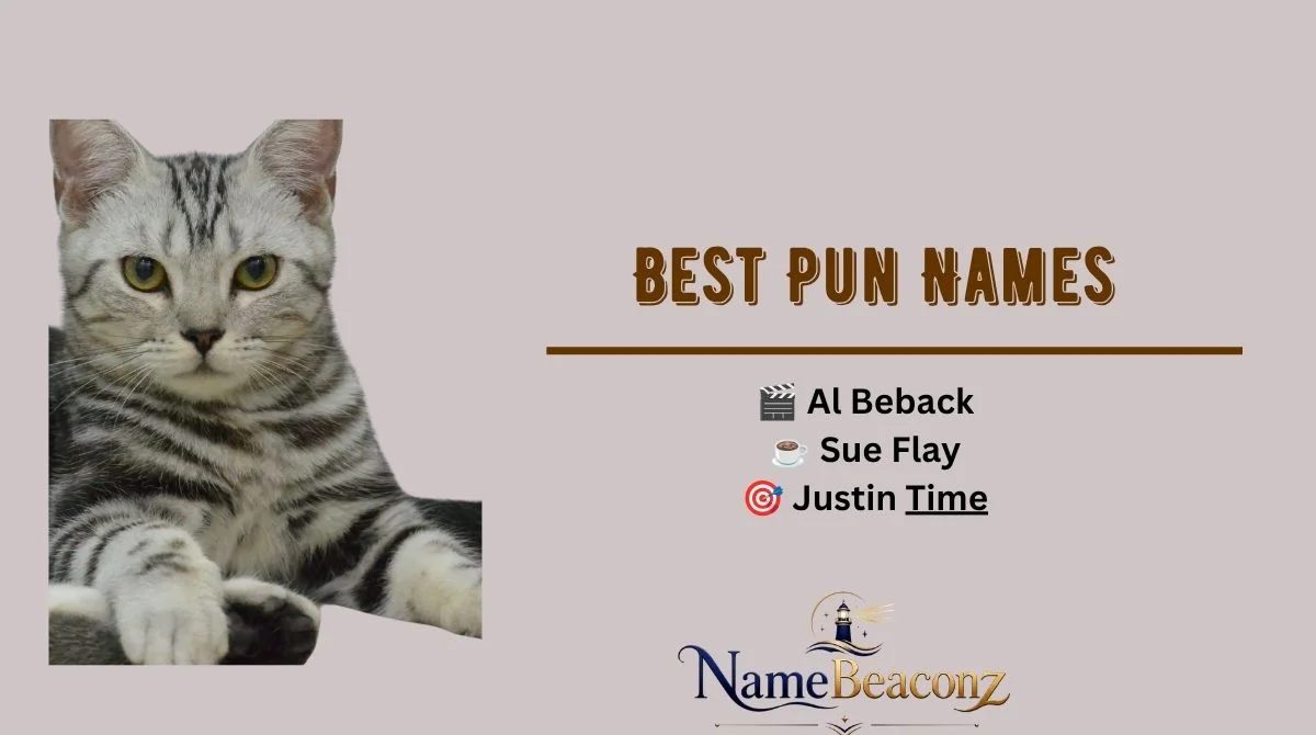 Best Pun Names