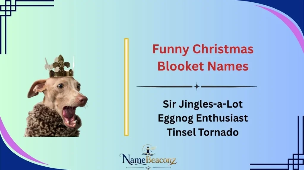 Funny Christmas Blooket Names