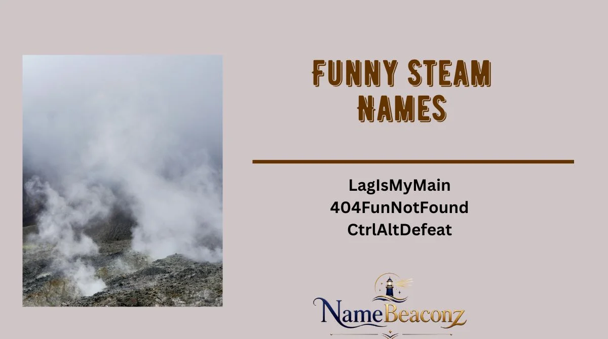 Funny Steam Names