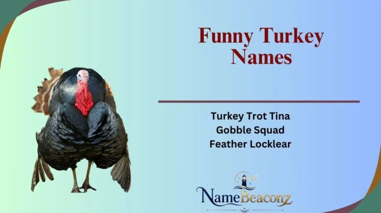Funny Turkey Names