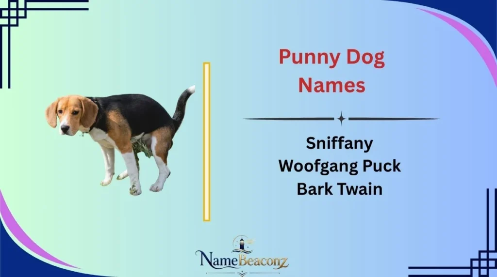 Punny Dog Names