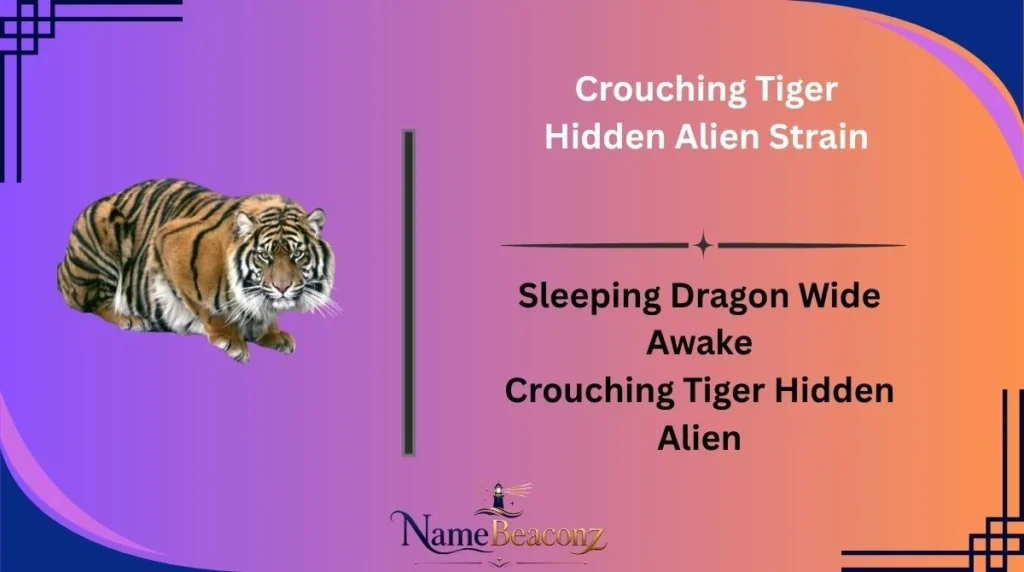 Crouching Tiger Hidden Alien Strain