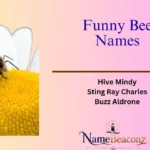 Funny Bee Names
