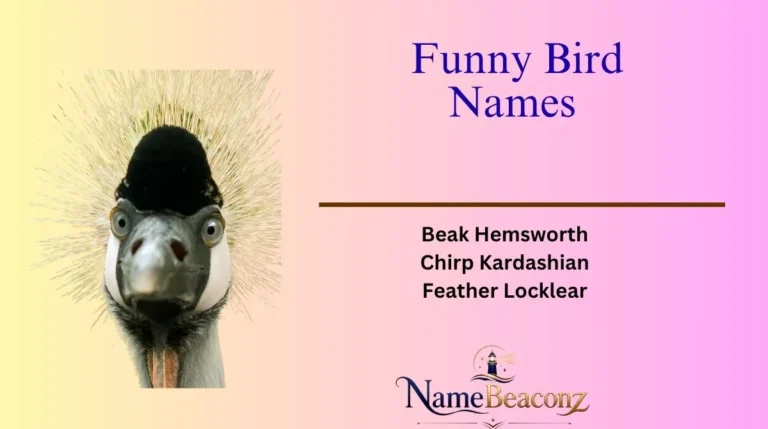 Funny Bird Names