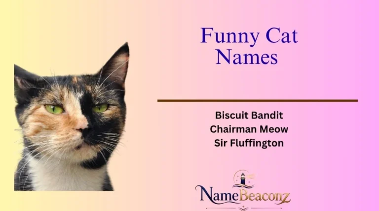 Funny Cat Names