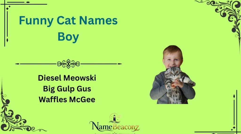 Funny Cat Names Boy