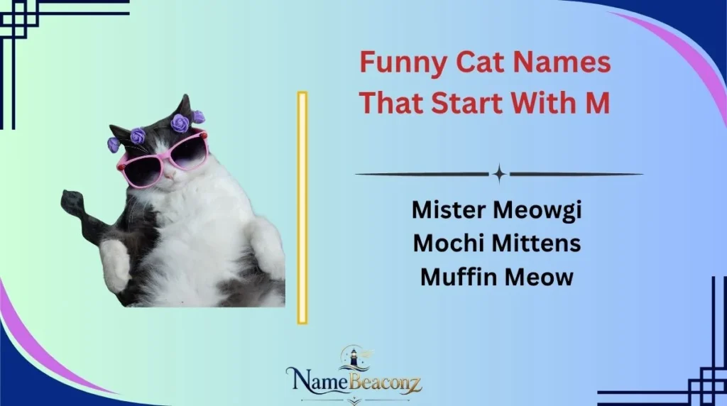 Funny Cat Names That Start With M