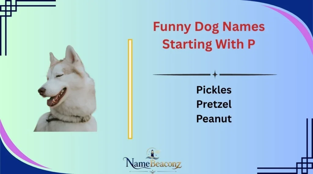 Funny Dog Names Starting With P
