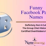 Funny Facebook Page Names
