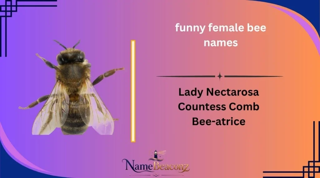 funny female bee names