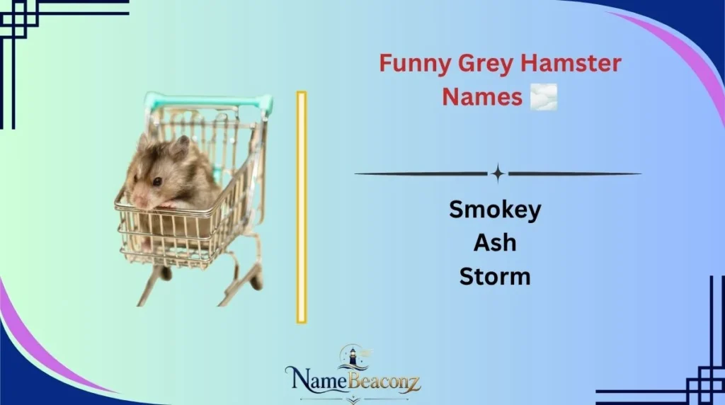 Funny Grey Hamster Names 🌫️
