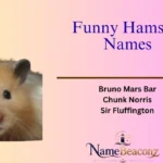 Funny Hamster Names