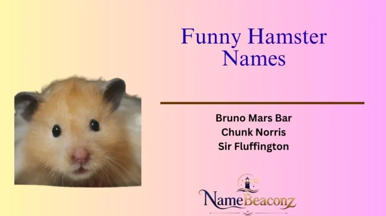Funny Hamster Names