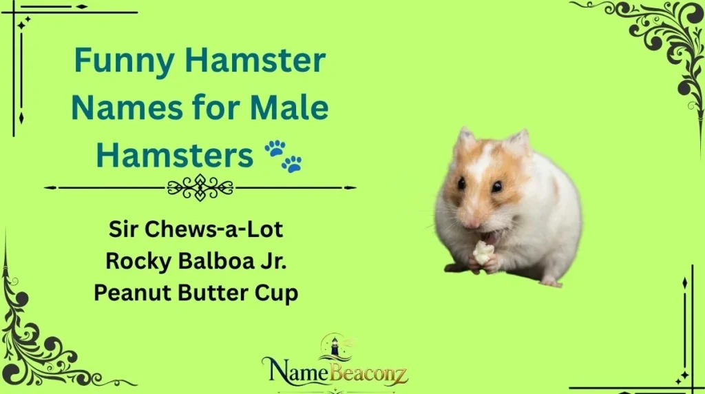 Funny Hamster Names for Male Hamsters 🐾