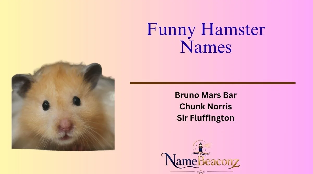 Funny Hamster Names