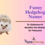 Funny Hedgehog Names
