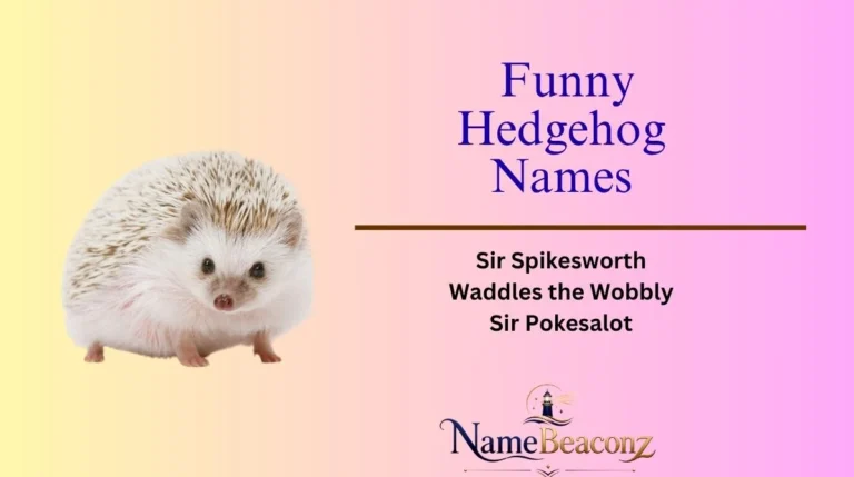 Funny Hedgehog Names