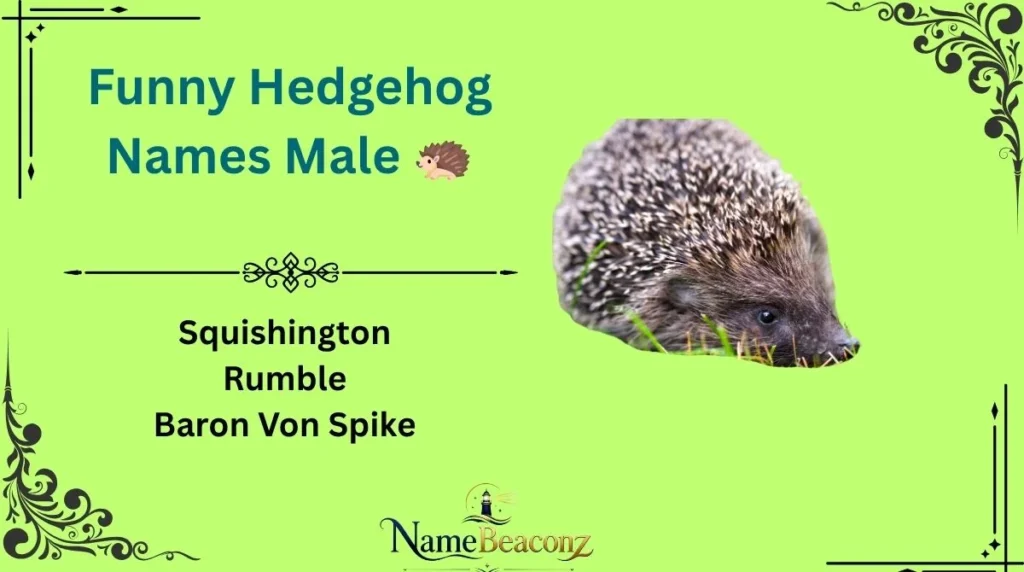 Funny Hedgehog Names Male π¦