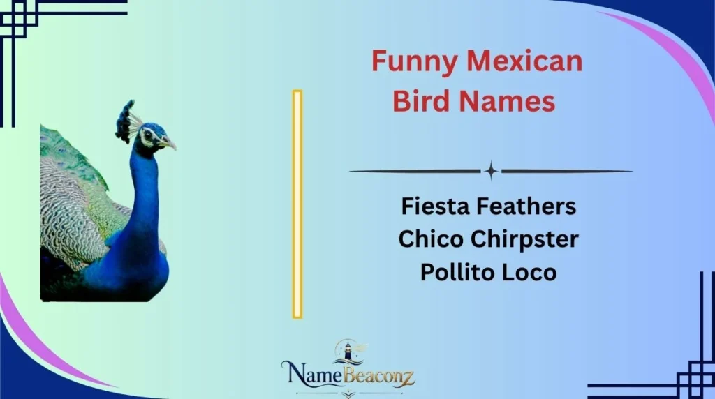 Funny Mexican Bird Names 