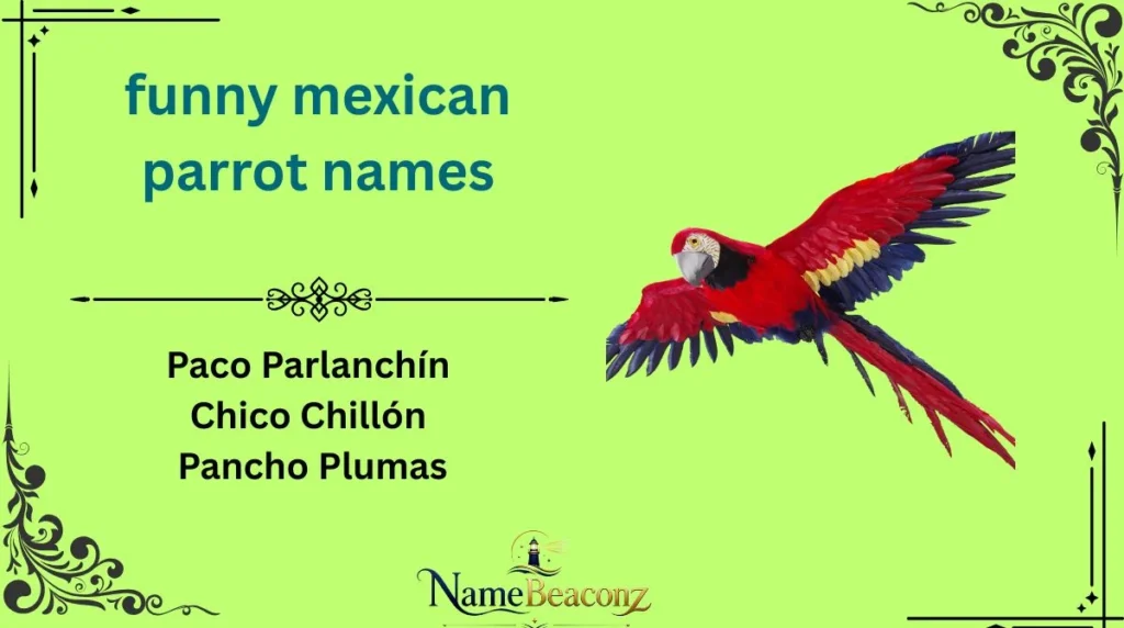 funny mexican parrot names