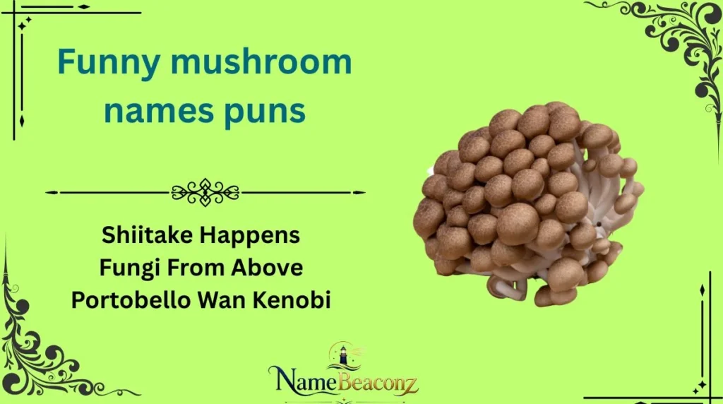 Funny mushroom names puns