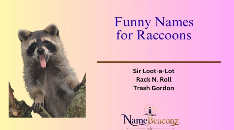 Funny Names for Raccoons