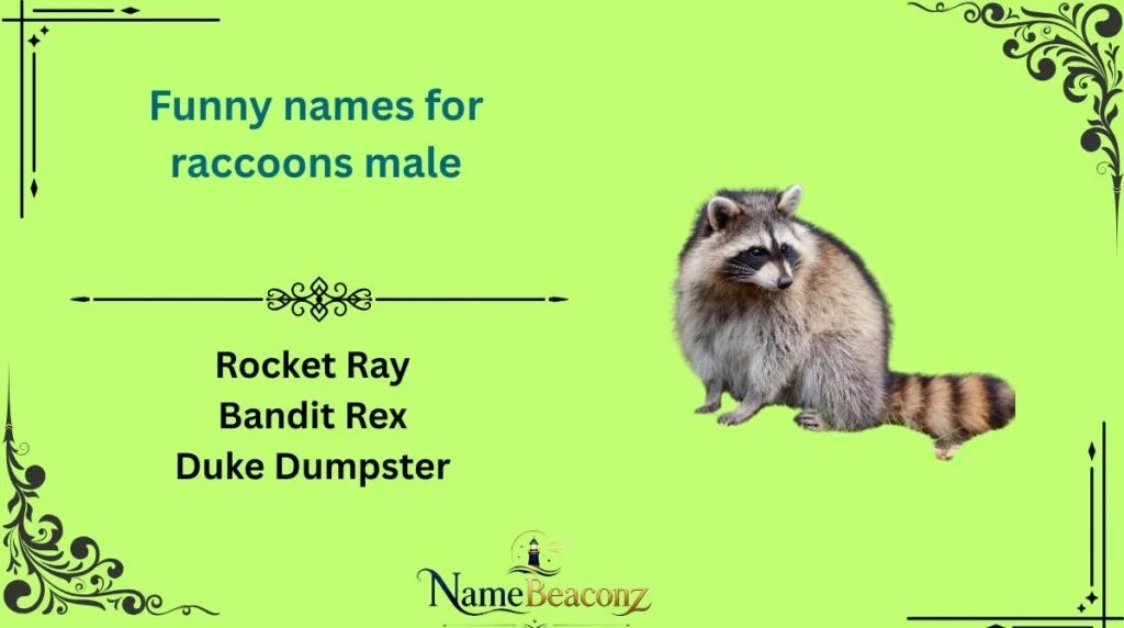 Funny names for raccoons male