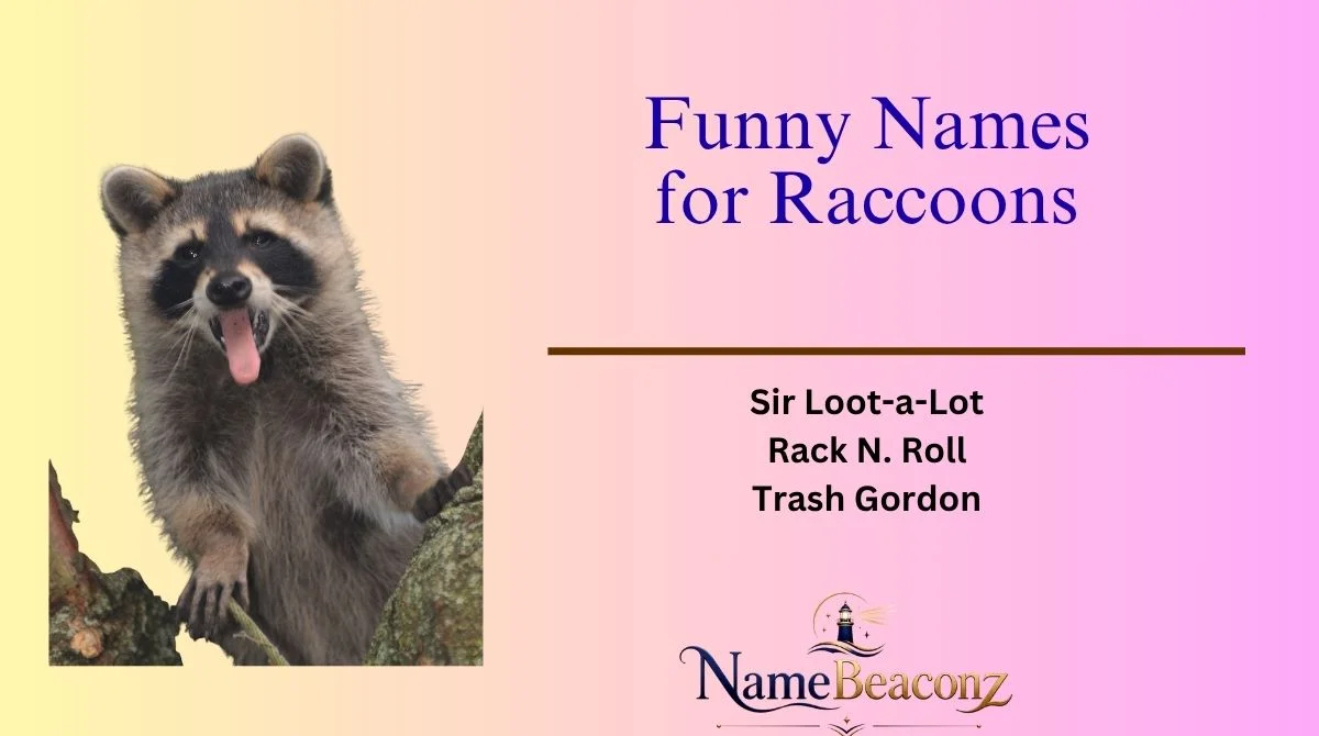 Funny Names for Raccoons