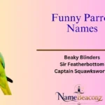 Funny Parrot Names