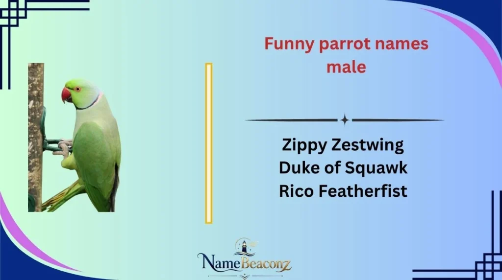 Funny parrot names male
