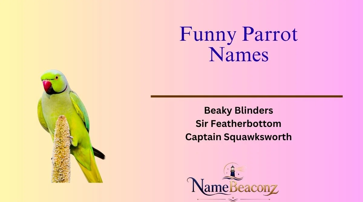 Funny Parrot Names