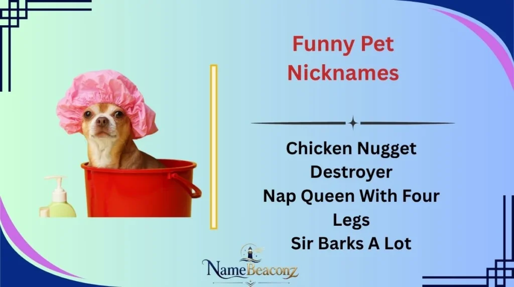 Funny Pet Nicknames