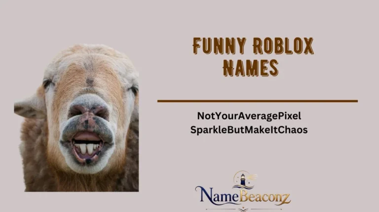 Funny Roblox Names