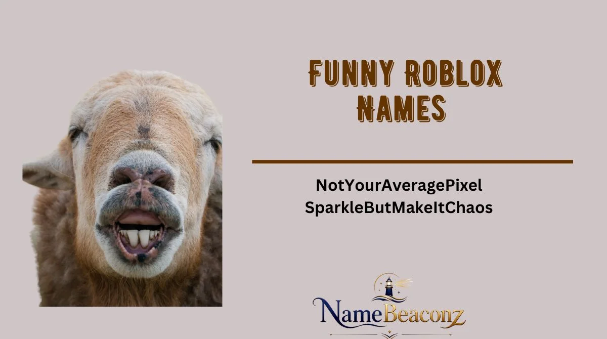 Funny Roblox Names