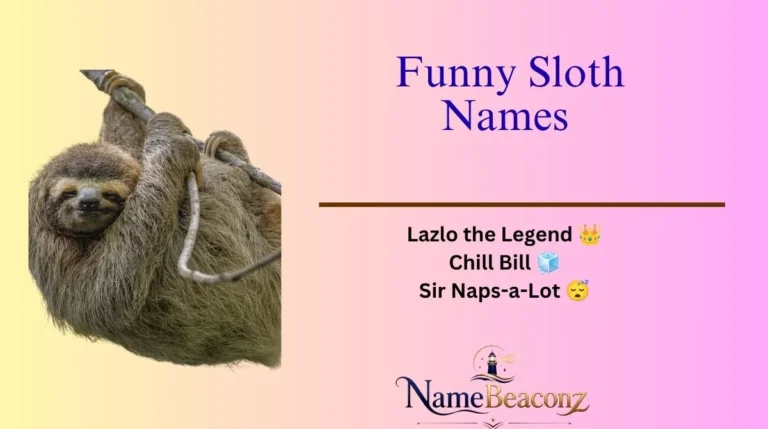 Funny Sloth Names