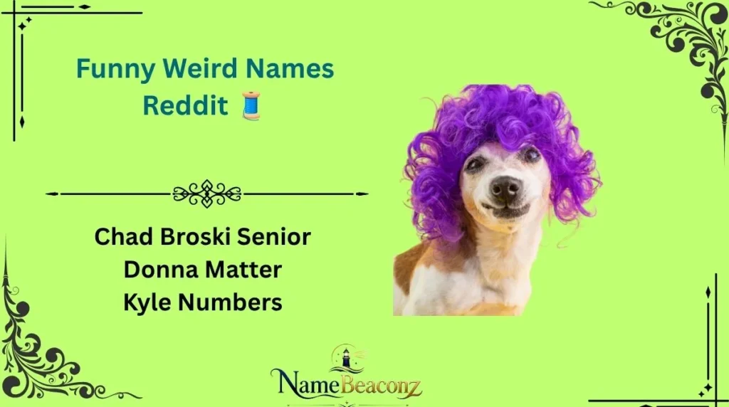 Funny Weird Names Reddit ๐งต