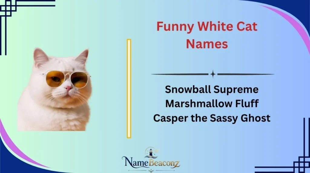 Funny White Cat Names