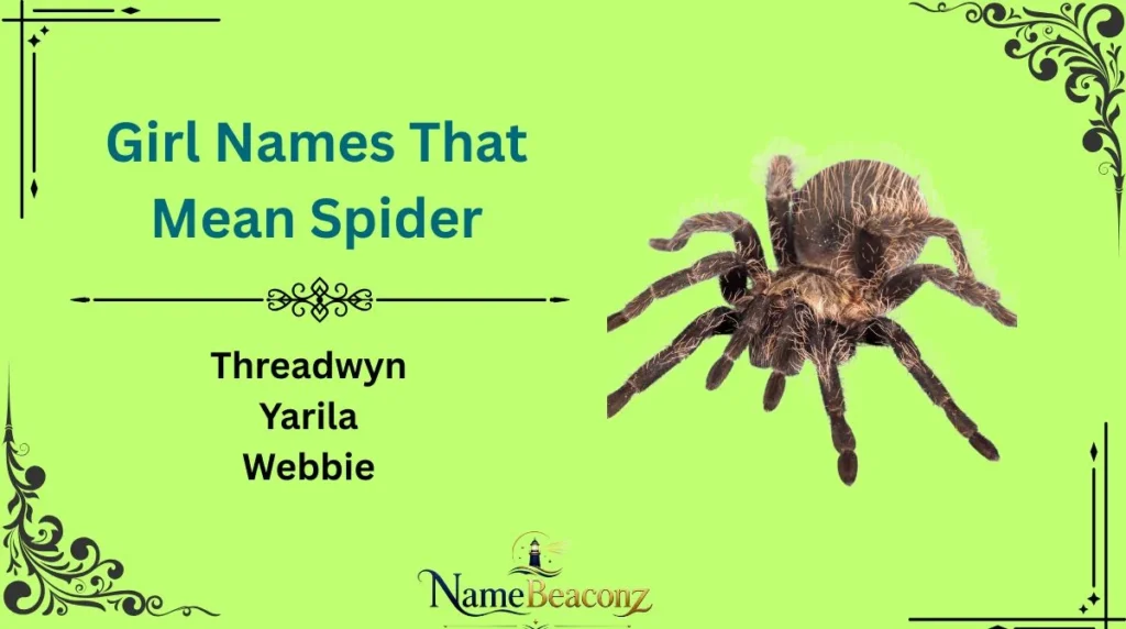 Girl Names That Mean Spider