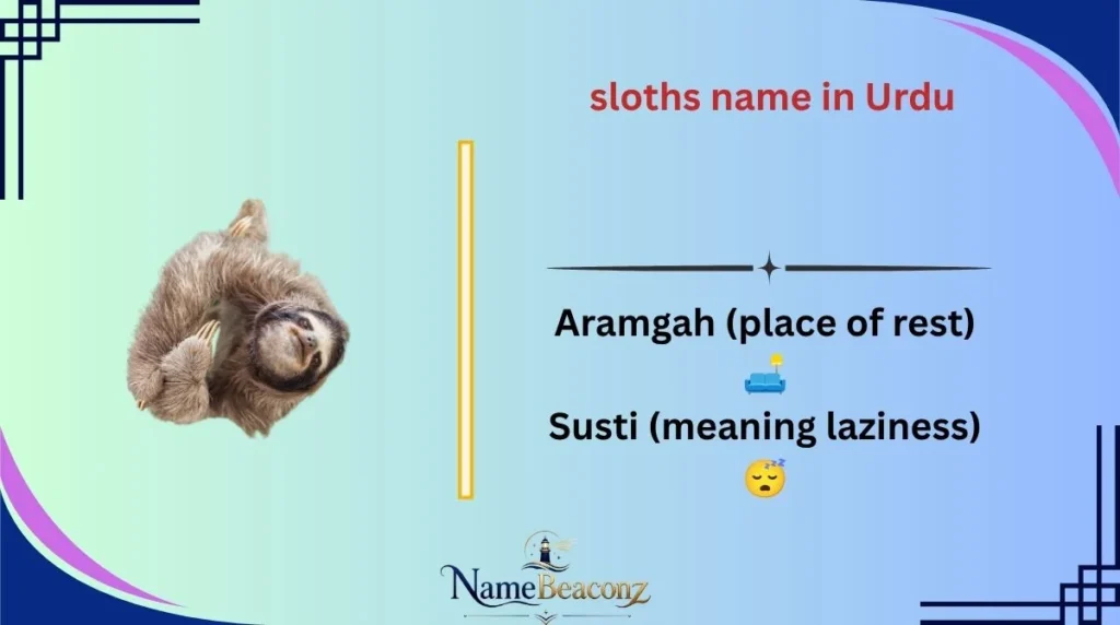 sloths name in Urdu