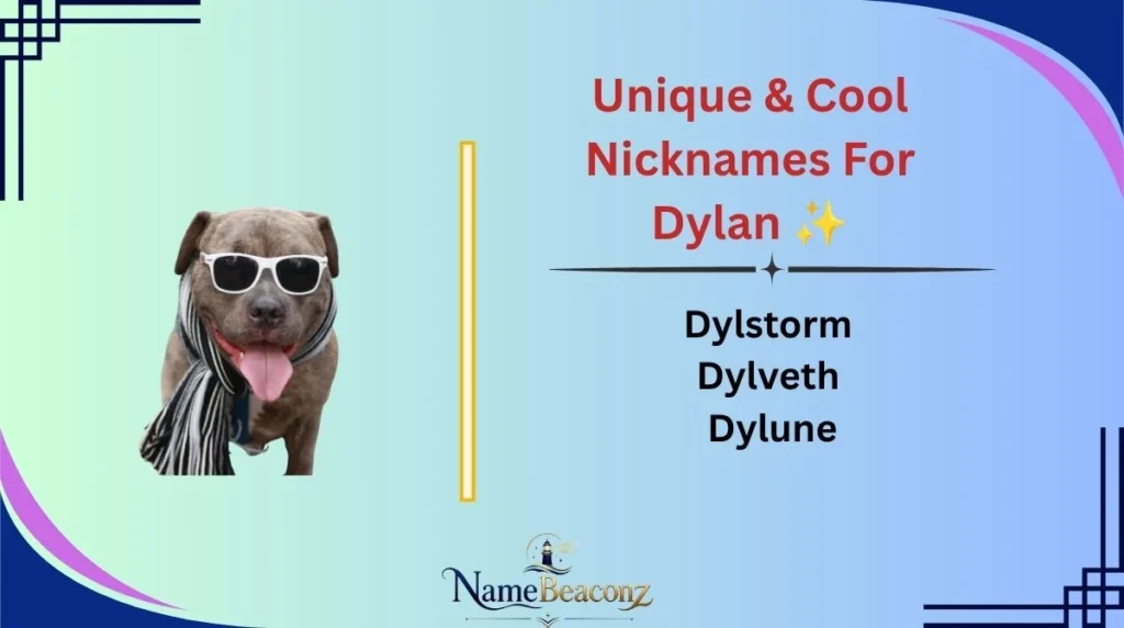 Unique & Cool Nicknames For Dylan ✨
