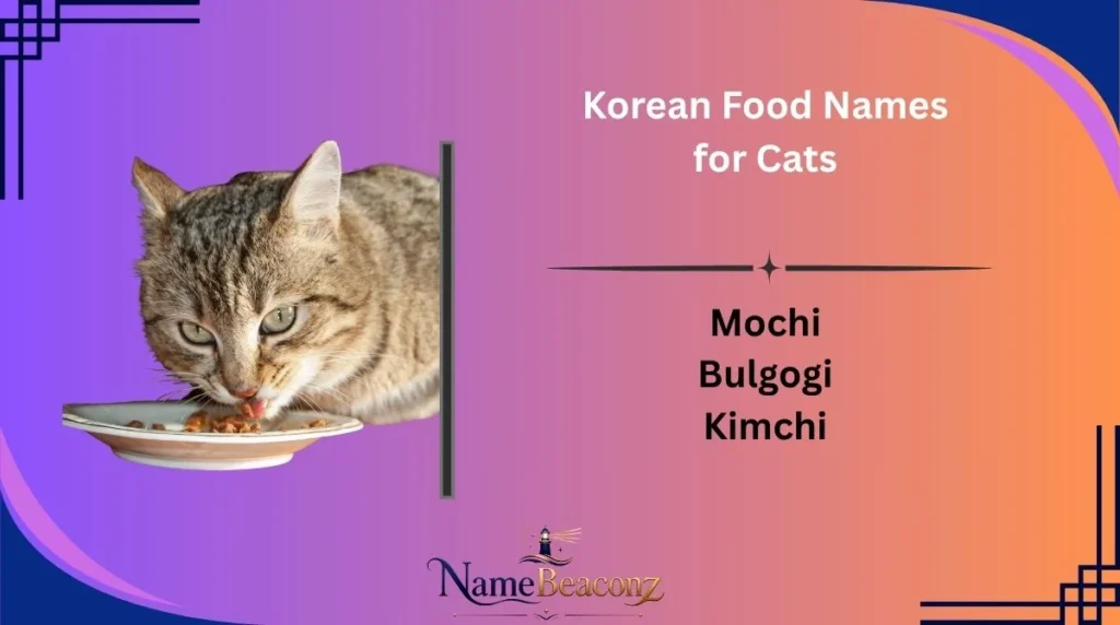 Korean Food Names for Cats