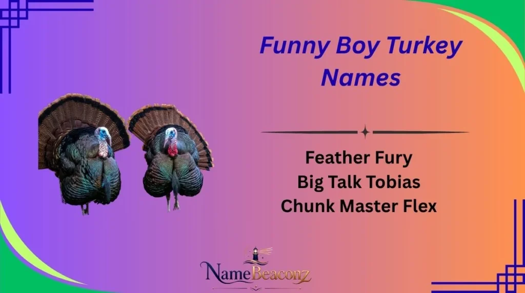 Funny Boy Turkey Names