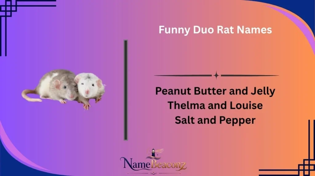 Funny Duo Rat Names