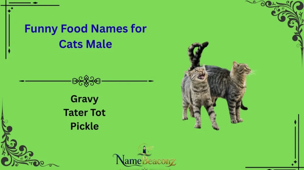 Funny Food Names for Cats Male