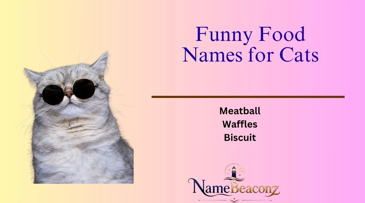 Funny Food Names for Cats