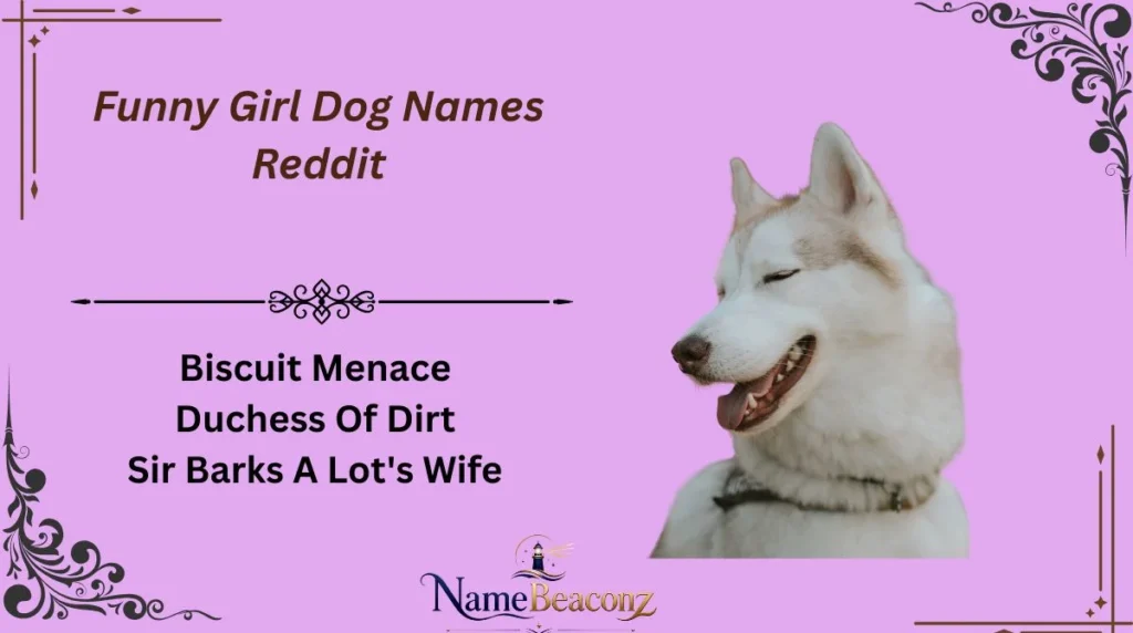Funny Girl Dog Names Reddit