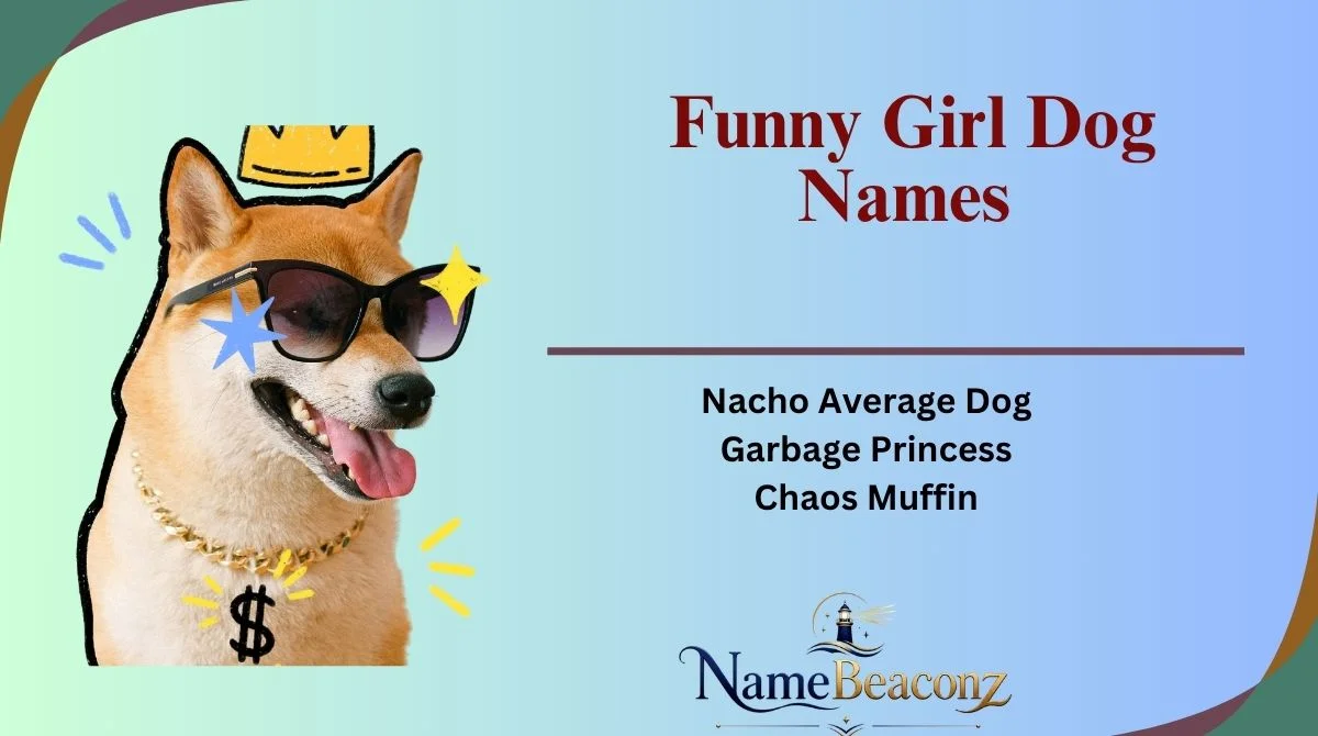 Funny Girl Dog Names