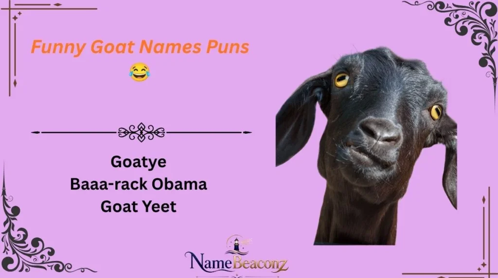 Funny Goat Names Puns 😂