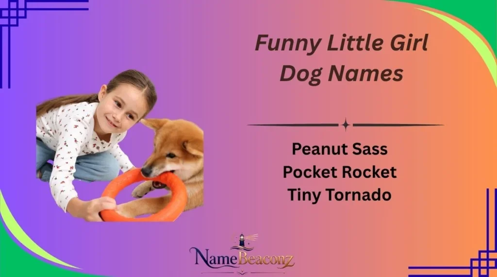 Funny Little Girl Dog Names